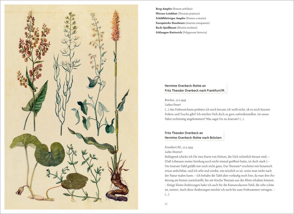 Hermine Overbeck
