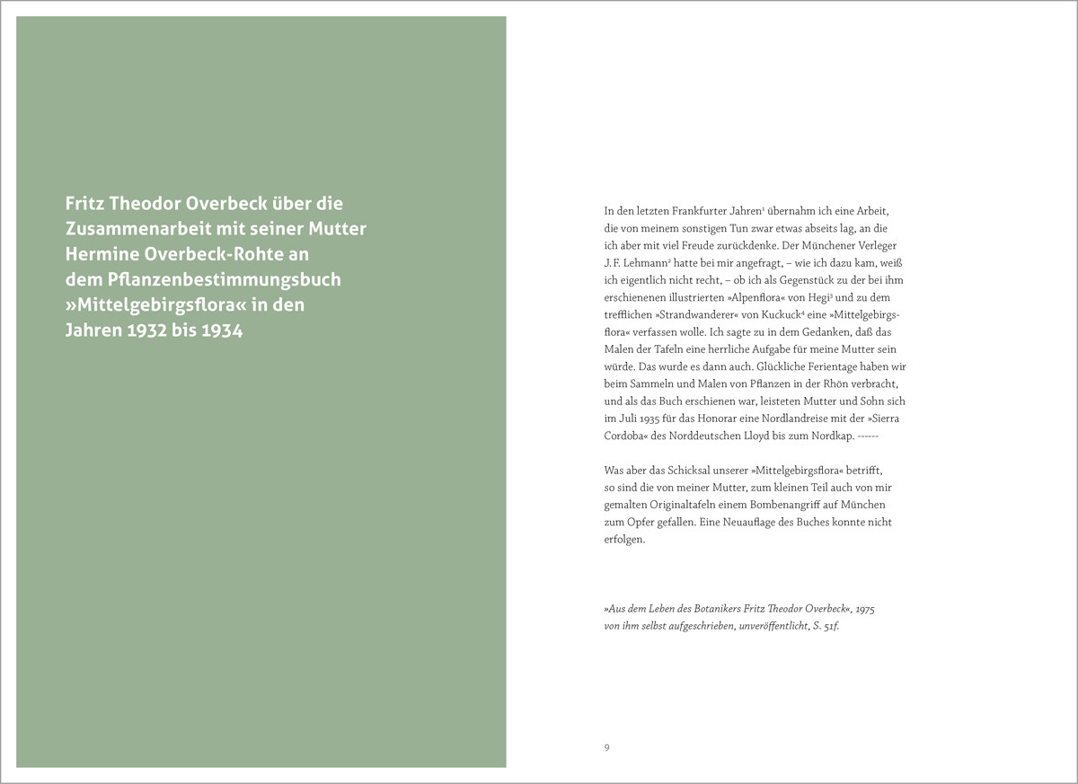 Hermine Overbeck